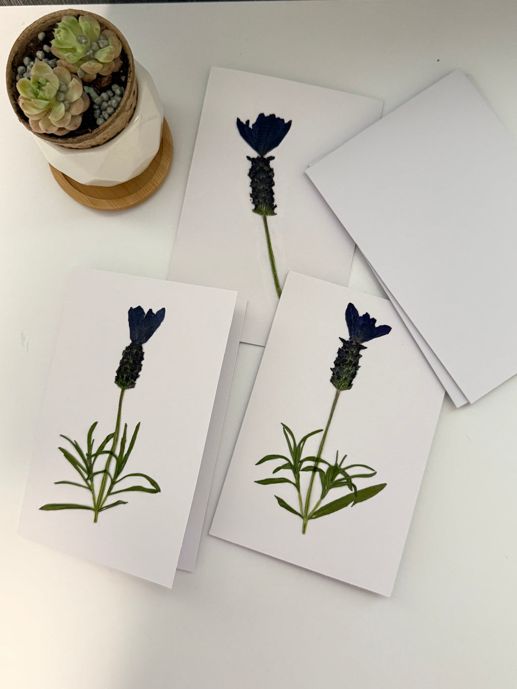 Pressed Flower Botanical Note Cards, Handmade Floral Blank Greeting Set (3 Cards)