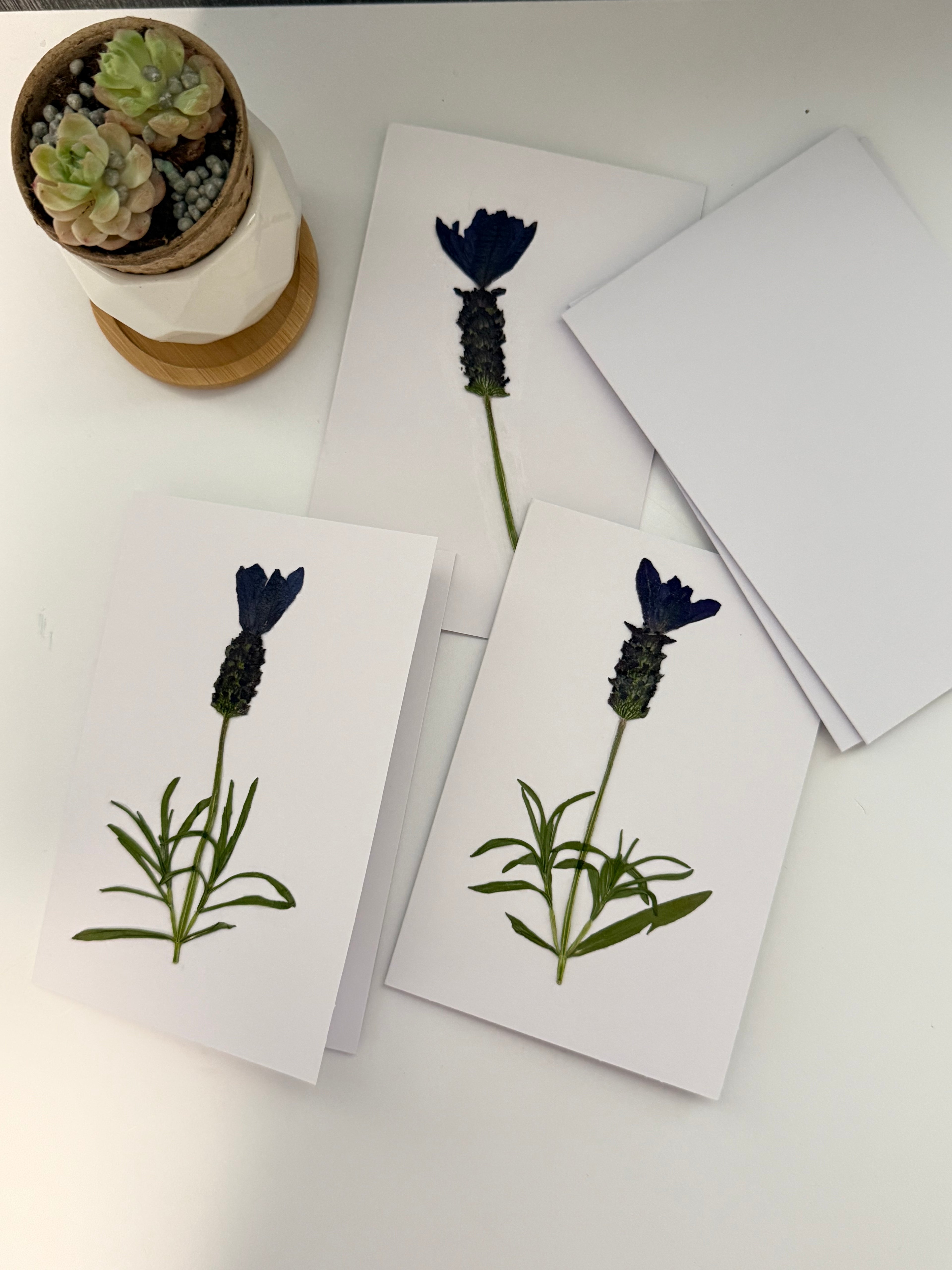 Pressed Flower Botanical Note Cards, Handmade Floral Blank Greeting Set (3 Cards)