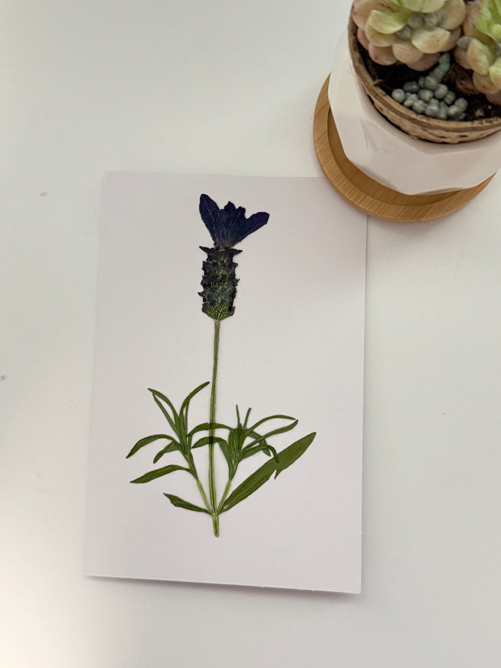 Pressed Flower Botanical Note Cards, Handmade Floral Blank Greeting Set (3 Cards)