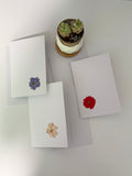 Pressed Flower Botanical Note Cards, Handmade Floral Blank Greeting Card Set (3 Cards)