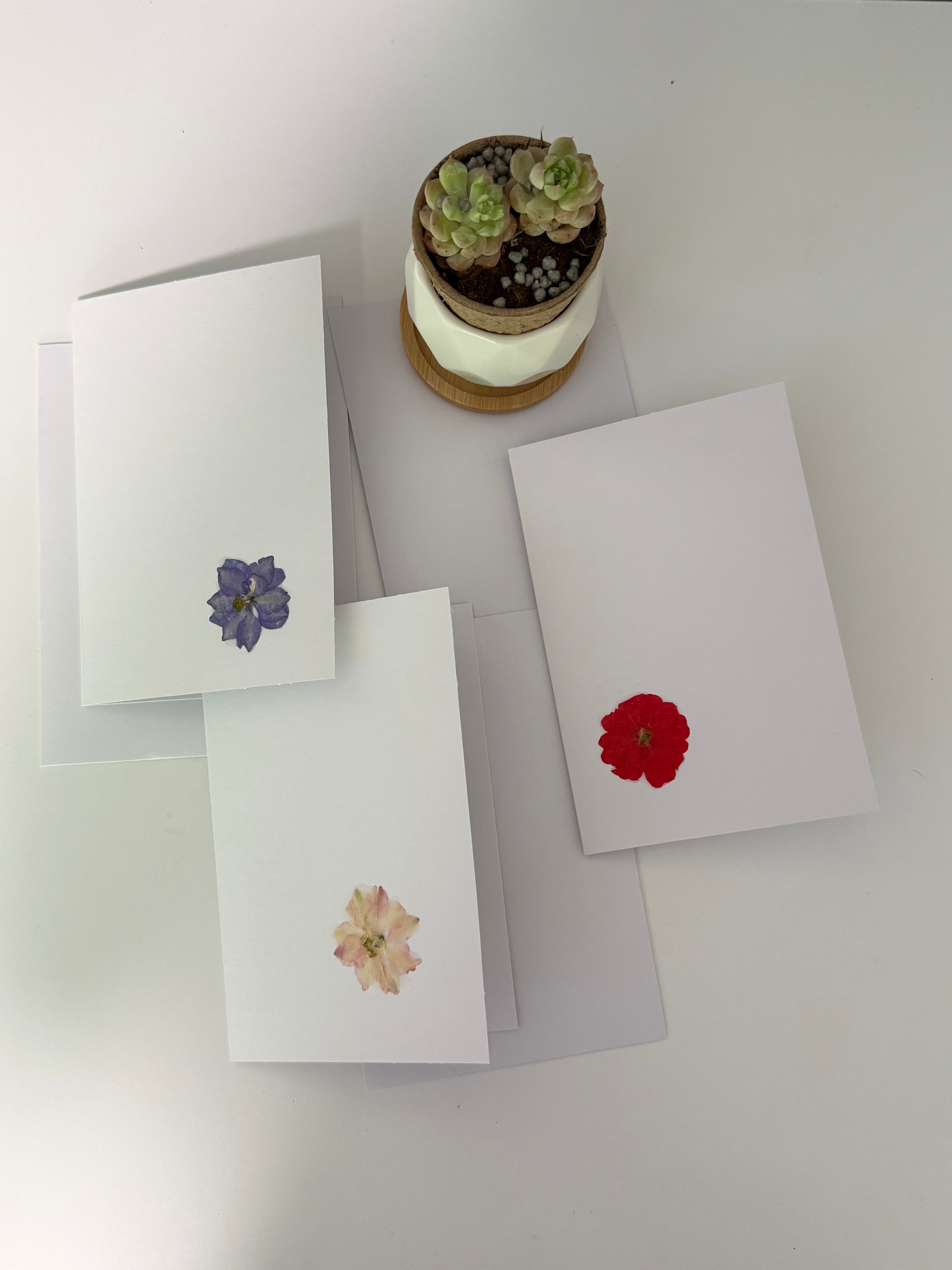 Pressed Flower Botanical Note Cards, Handmade Floral Blank Greeting Card Set (3 Cards)
