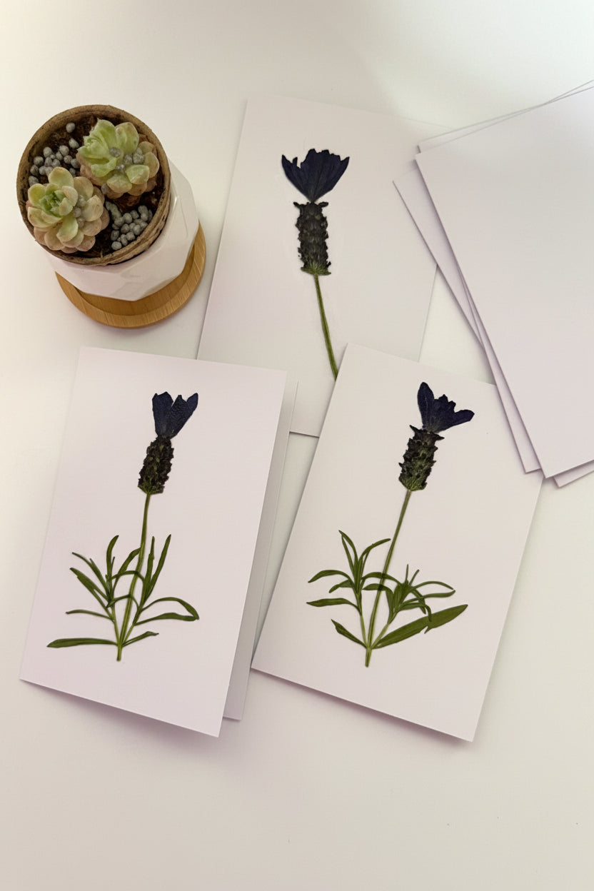 Pressed Flower Botanical Note Cards, Handmade Floral Blank Greeting Set (3 Cards)
