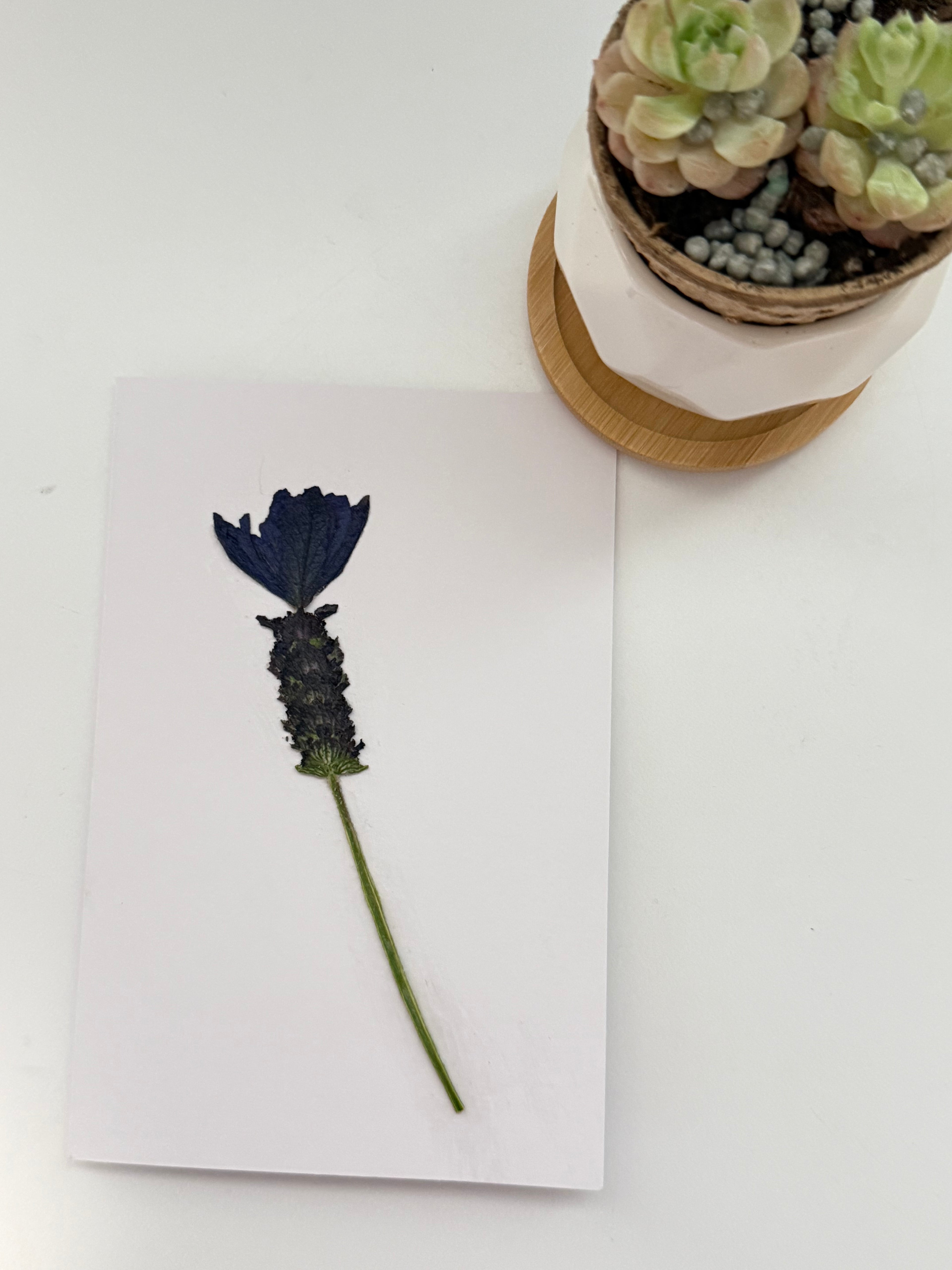 Pressed Flower Botanical Note Cards, Handmade Floral Blank Greeting Set (3 Cards)