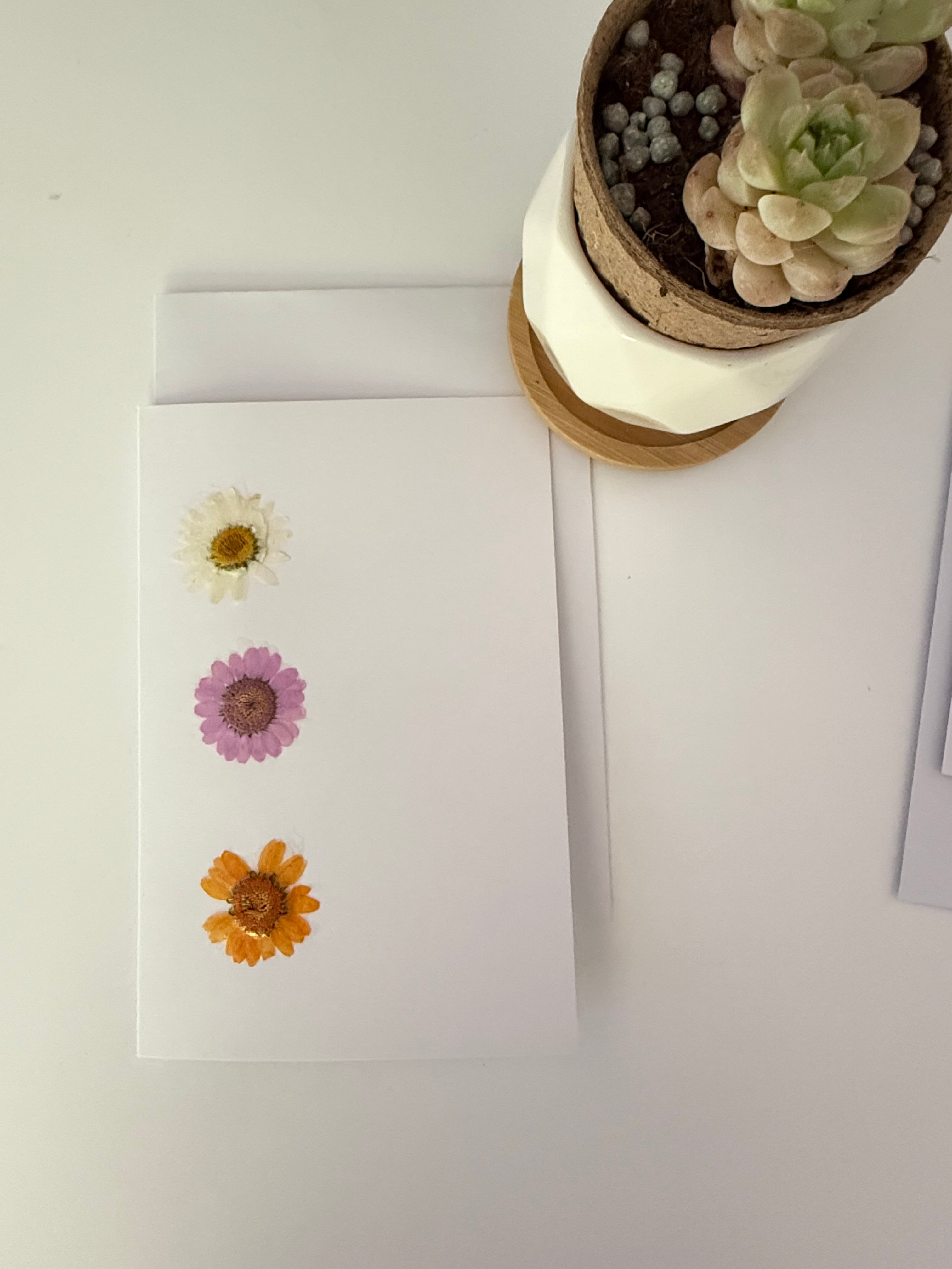 Pressed Flower Botanical Note Cards, Handmade Floral Greeting Card Set (3 Cards)
