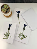 Pressed Flower Botanical Note Cards, Handmade Floral Blank Greeting Set (3 Cards)