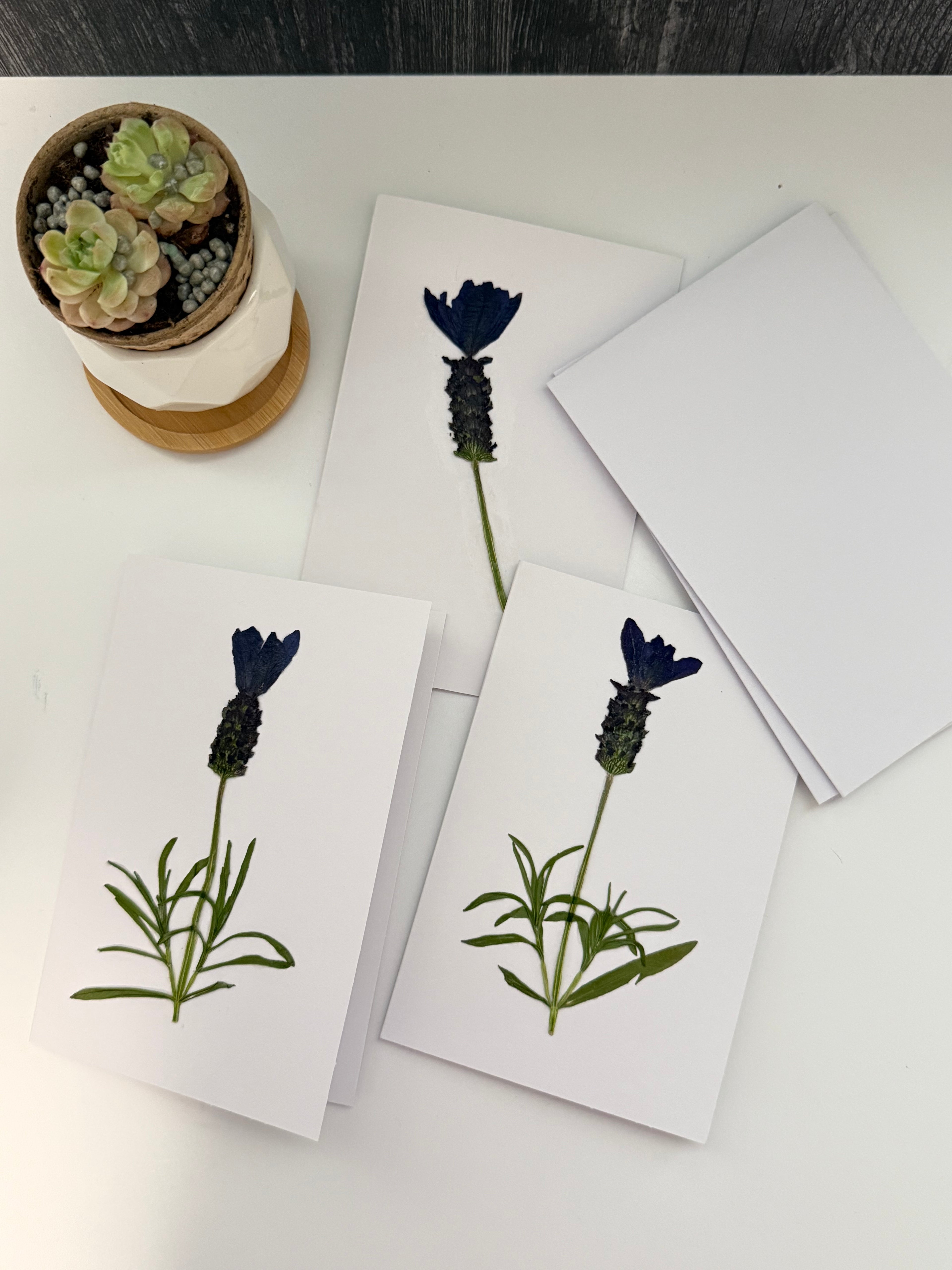 Pressed Flower Botanical Note Cards, Handmade Floral Blank Greeting Set (3 Cards)