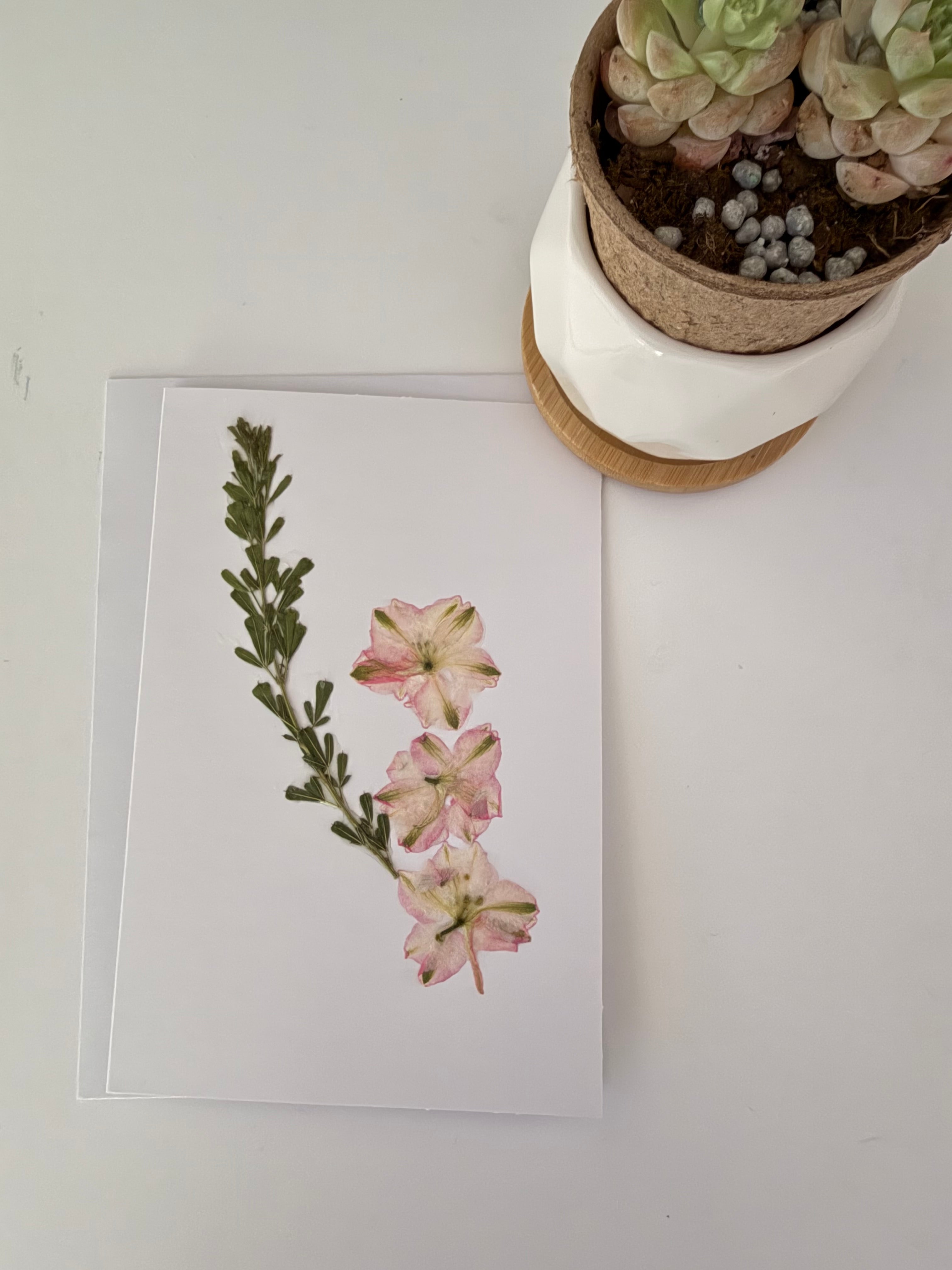 Pressed Flower Botanical Note Cards, Handmade Floral Greeting Card Set (3 Cards)