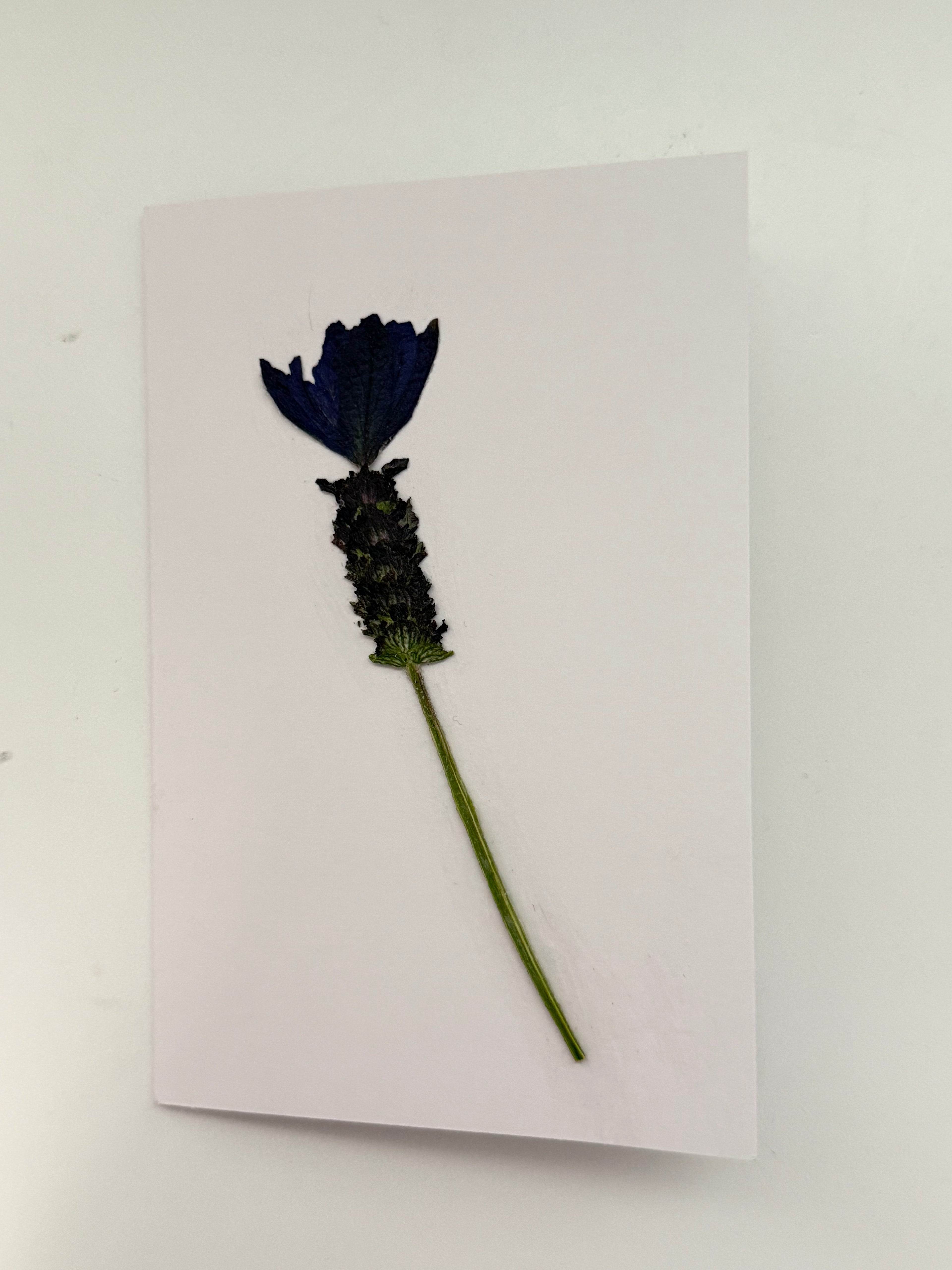 Pressed Flower Botanical Note Cards, Handmade Floral Blank Greeting Set (3 Cards)