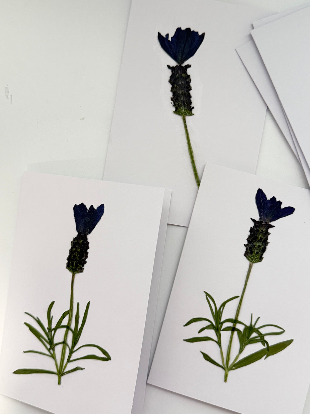 Pressed Flower Botanical Note Cards, Handmade Floral Blank Greeting Set (3 Cards)
