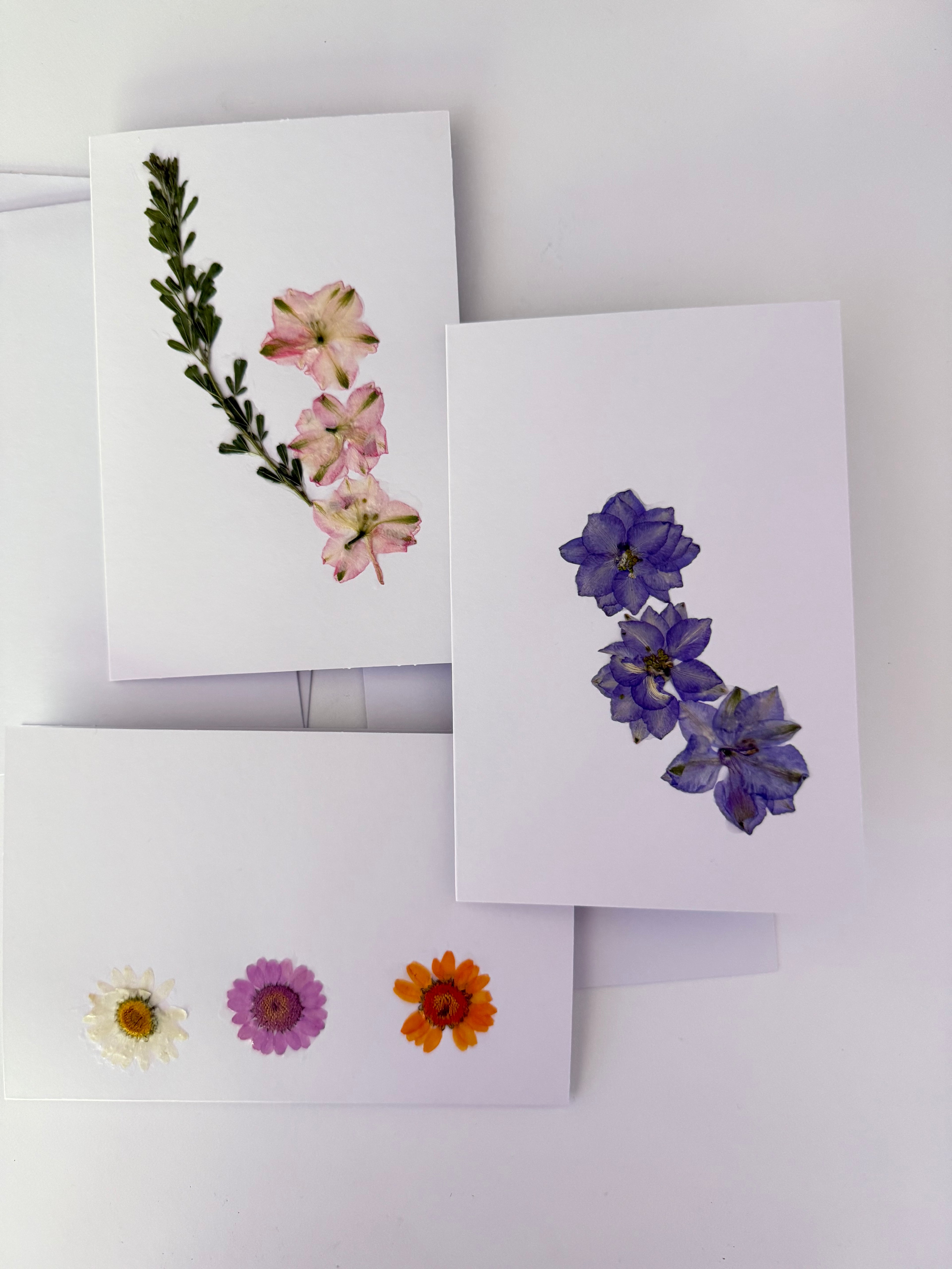 Pressed Flower Botanical Note Cards, Handmade Floral Greeting Card Set (3 Cards)