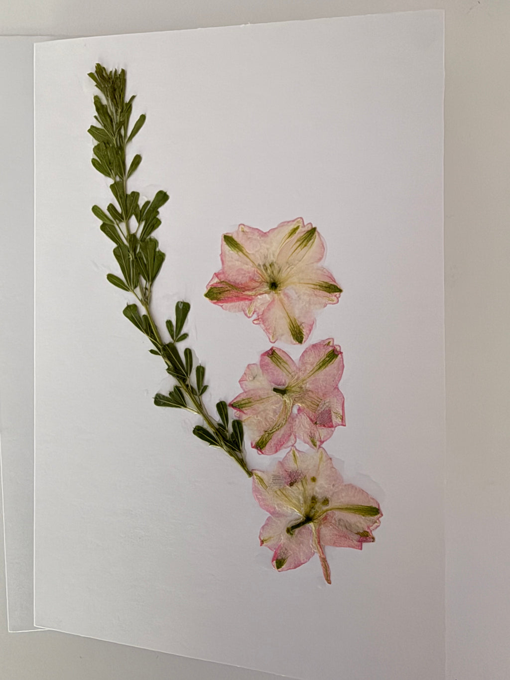 Pressed Flower Botanical Note Cards, Handmade Floral Greeting Card Set (3 Cards)