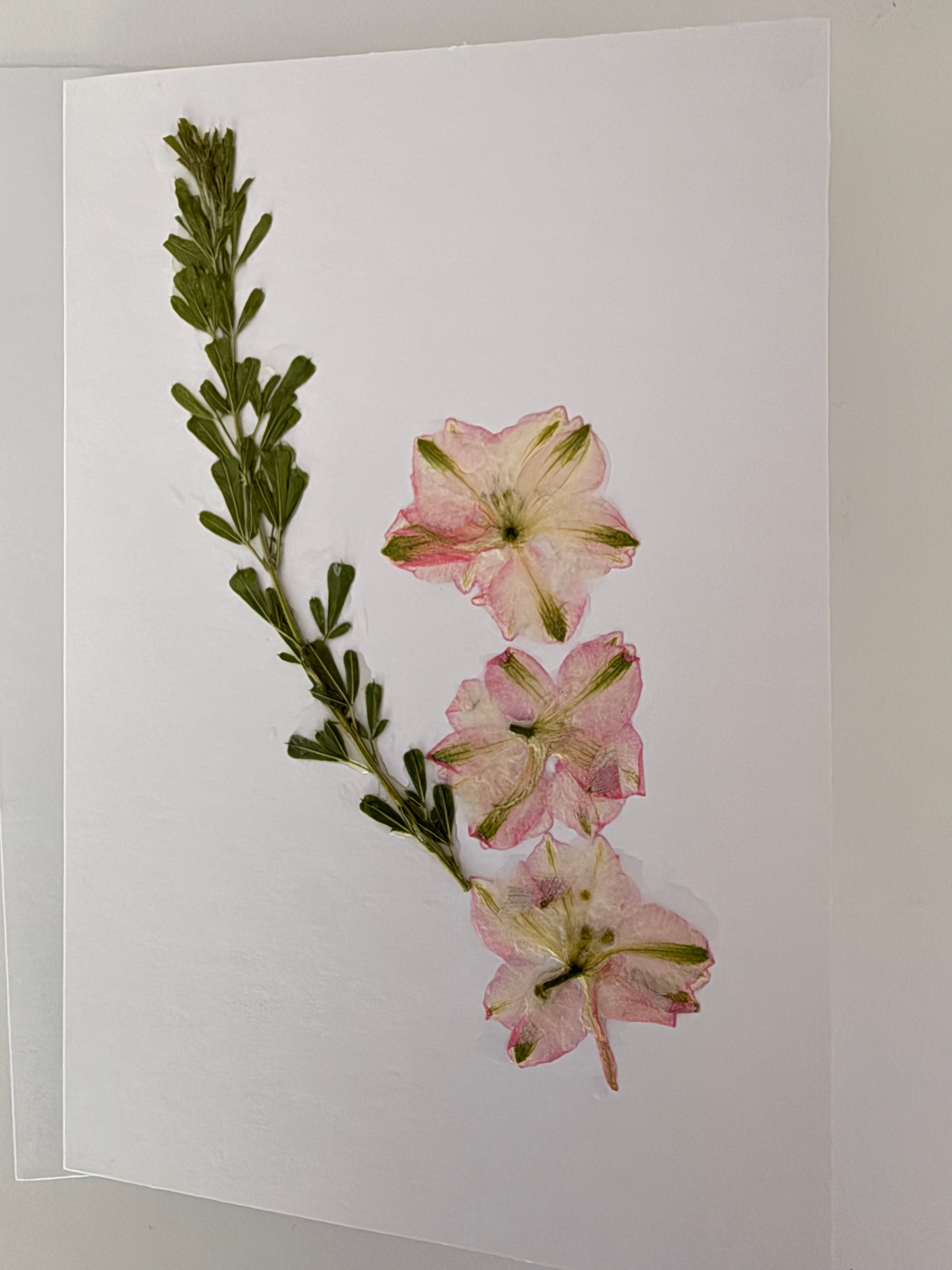 Pressed Flower Botanical Note Cards, Handmade Floral Greeting Card Set (3 Cards)